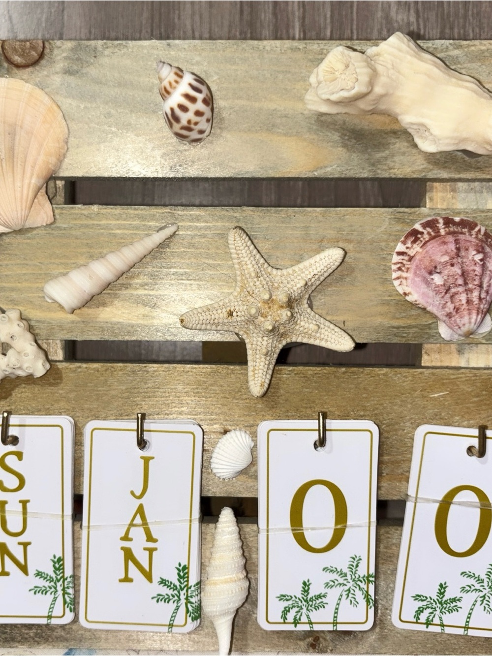 Hand Crafted Beige and White Coastal Shell Wall Decor